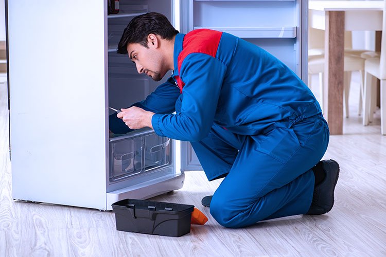 Refrigeration & Freezer Maintenance